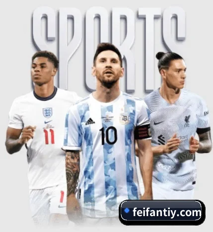 我们在做什么(feifan sports)